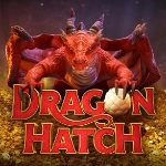 Dragon Hatch