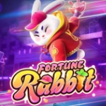 Fortune Rabbit